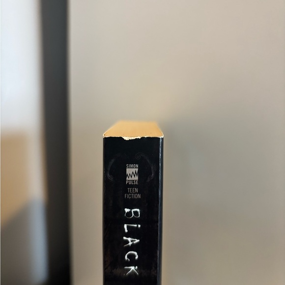 Valiant by Holly Black - Young Adult Fantasy Paperback Book - Picture 3 of 6